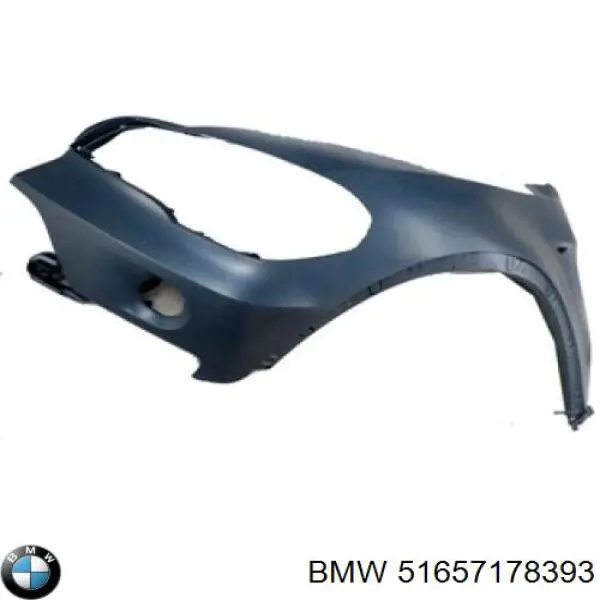 Compre 51657178393 BMW Pára-lama dianteiro esquerdo