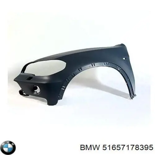 Compre 51657178395 BMW Pára-lama dianteiro esquerdo