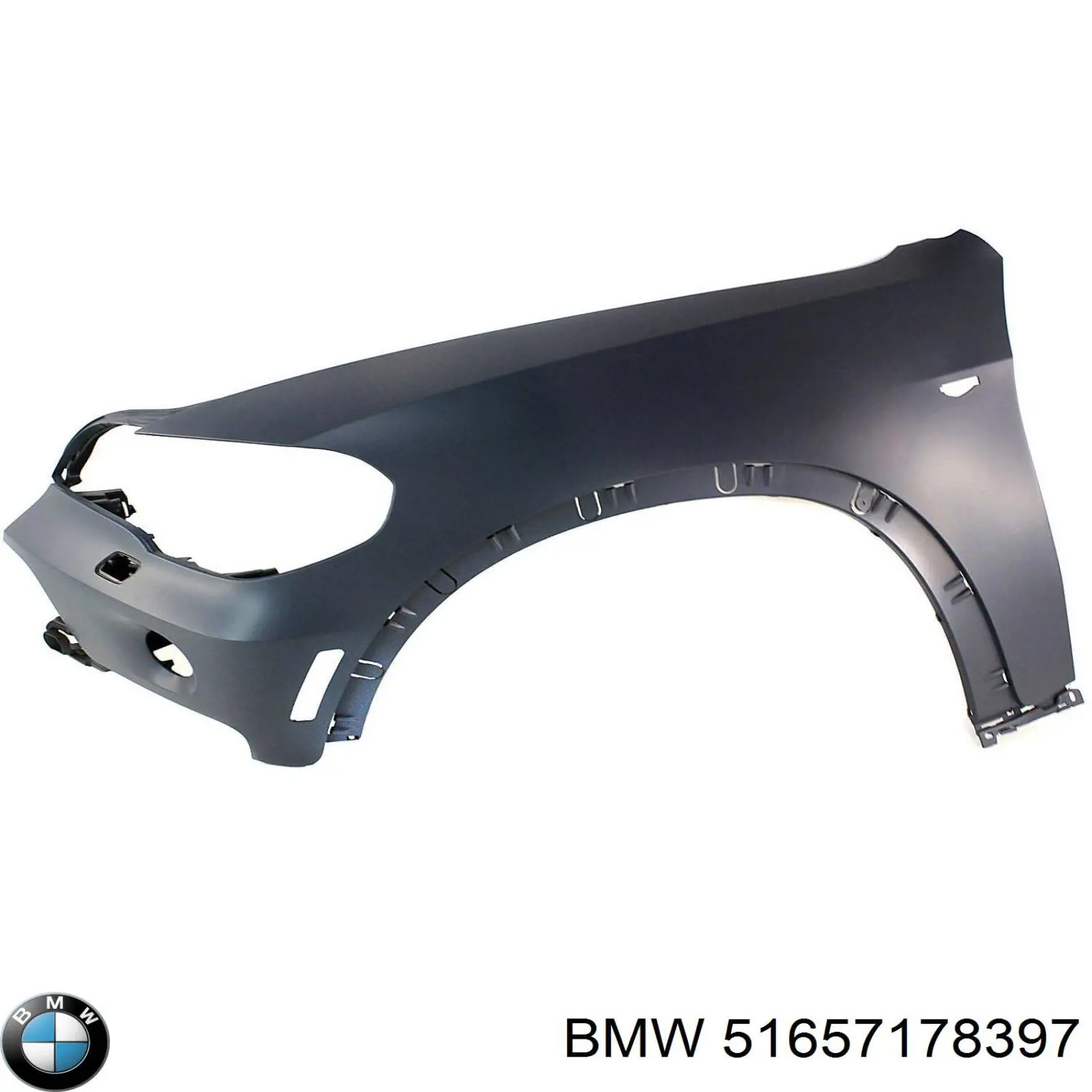 Compre 51657178397 BMW Pára-lama dianteiro esquerdo