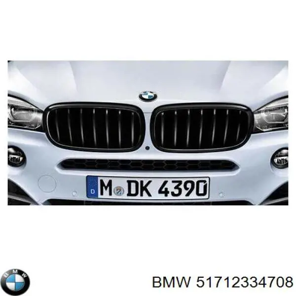 51712334708 BMW Grelha do radiador esquerda