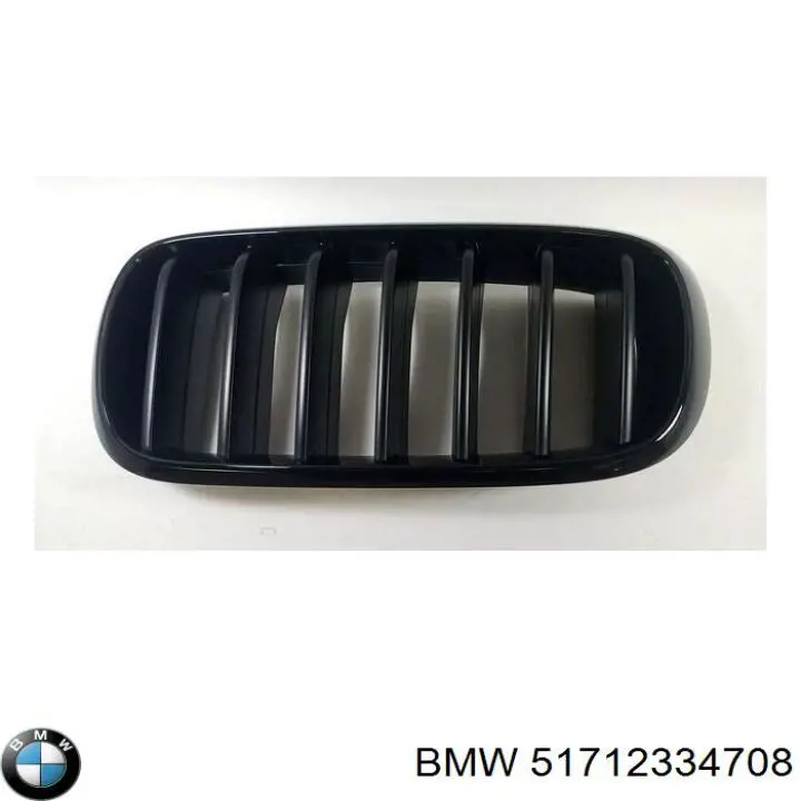 Compre 51712334708 BMW Grelha do radiador esquerda