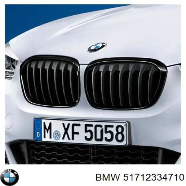 51712334710 BMW Grelha do radiador direita