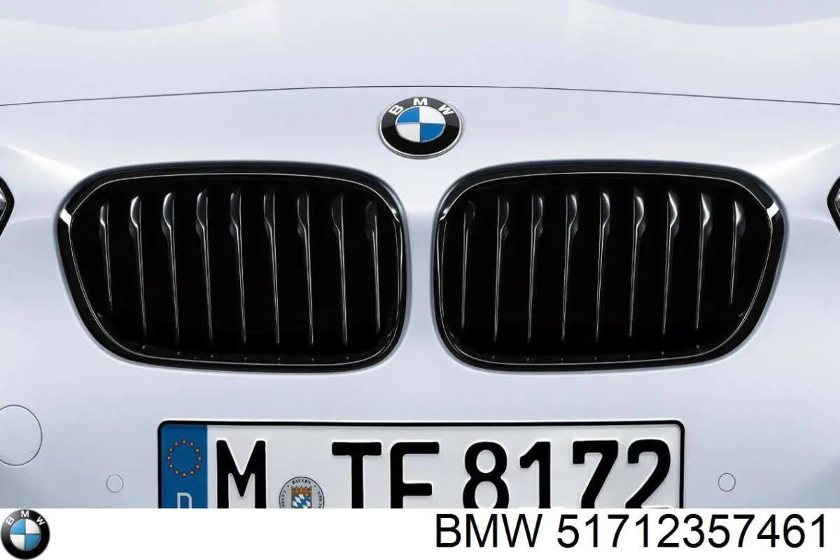 51712357461 BMW Grelha do radiador esquerda