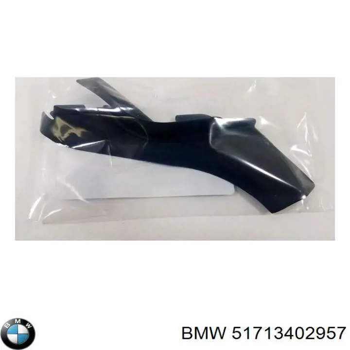 51713402957 BMW Guarda-barras do pára-lama traseiro esquerdo