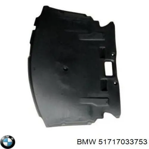 Compre 51717033753 BMW Proteção de motor esquerdo