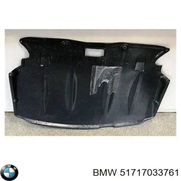 Compre 51717033761 BMW Proteção de motor, de panela (da seção de motor)