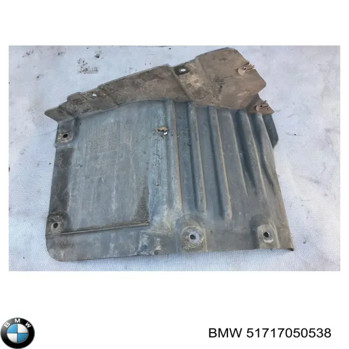 Compre 51717050538 BMW Guarda-barras direito dianteiro do pára-lama dianteiro