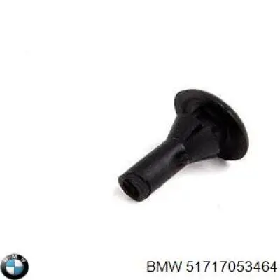 51717053464 BMW Cápsula (prendedor) de fixação de placas sobrepostas do acesso