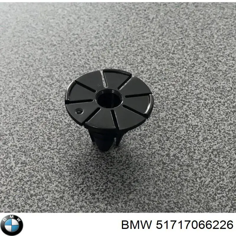 Compre 51717066226 BMW Cápsula (prendedor) de fixação de placas sobrepostas do acesso