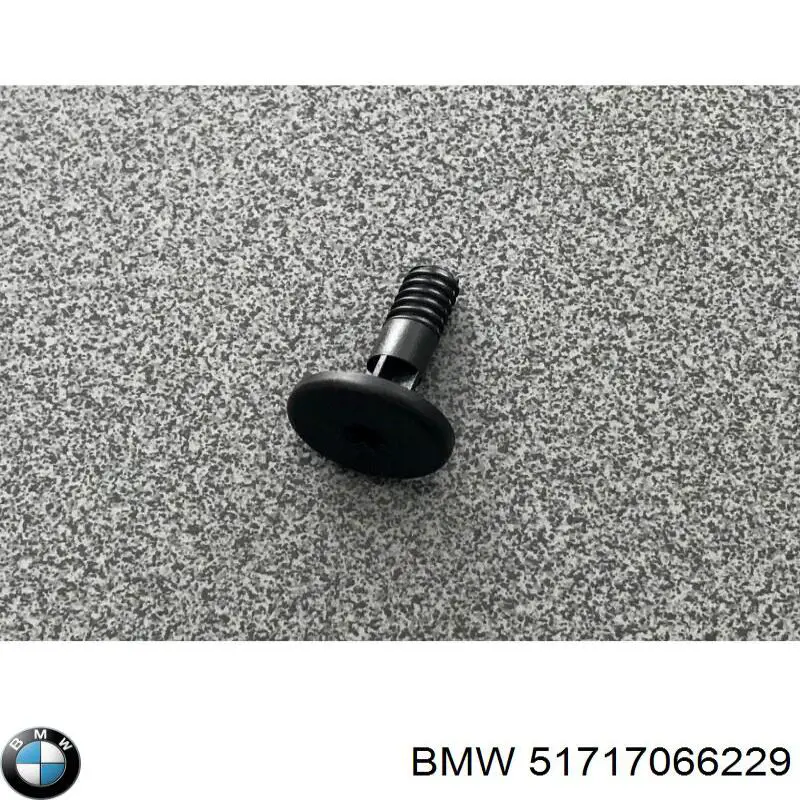 51717066229 BMW Cápsula (prendedor) de fixação de placas sobrepostas do acesso