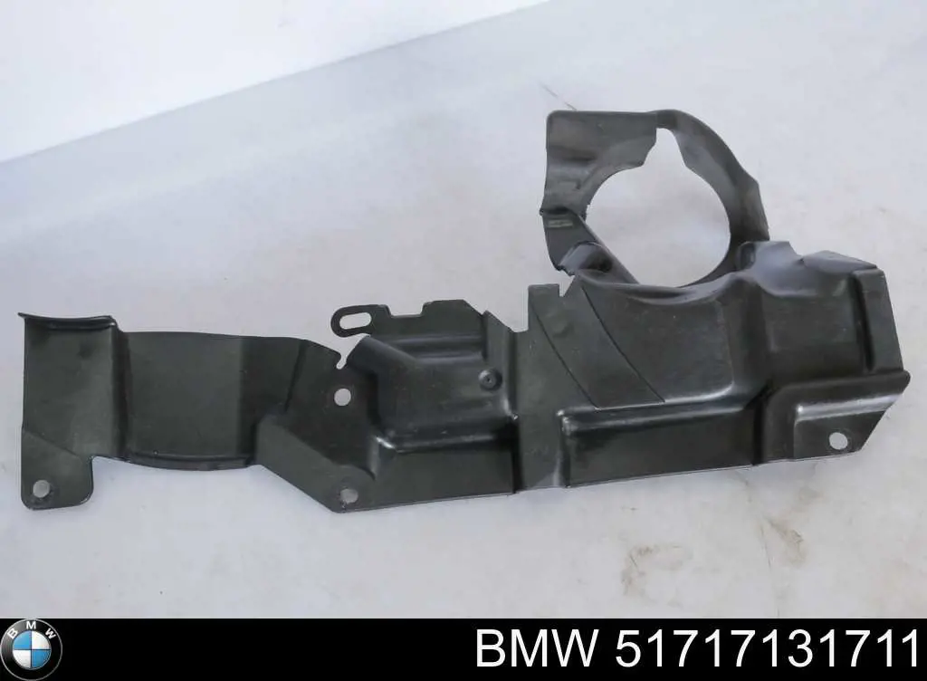Compre 51717131711 BMW 