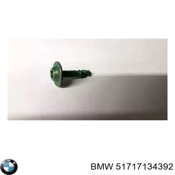 51717134392 BMW Tampão de panela de motor