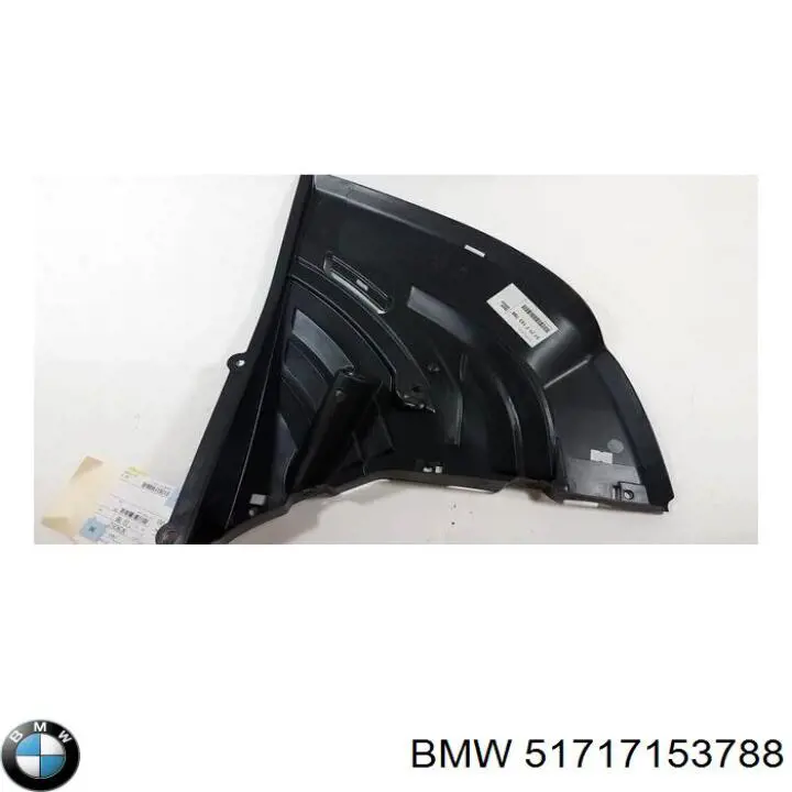 51717153788 BMW Proteção de motor direito