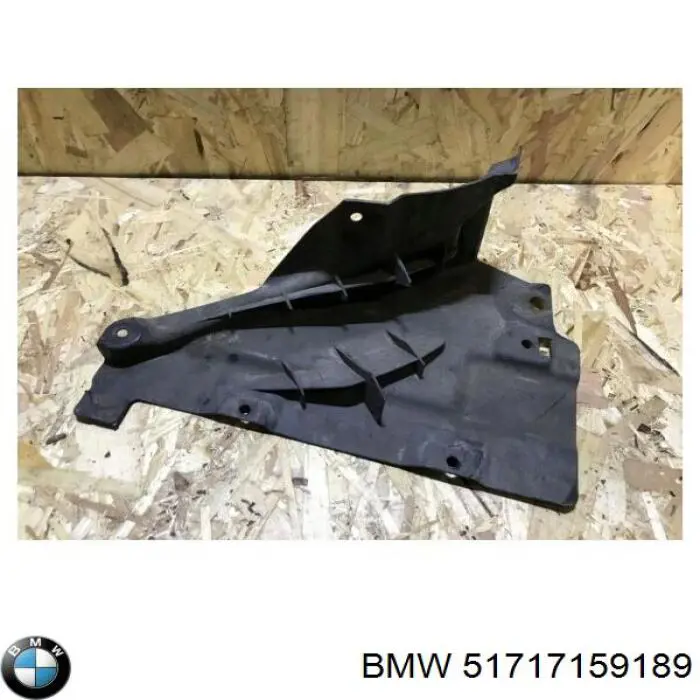 Compre 51717159189 BMW 