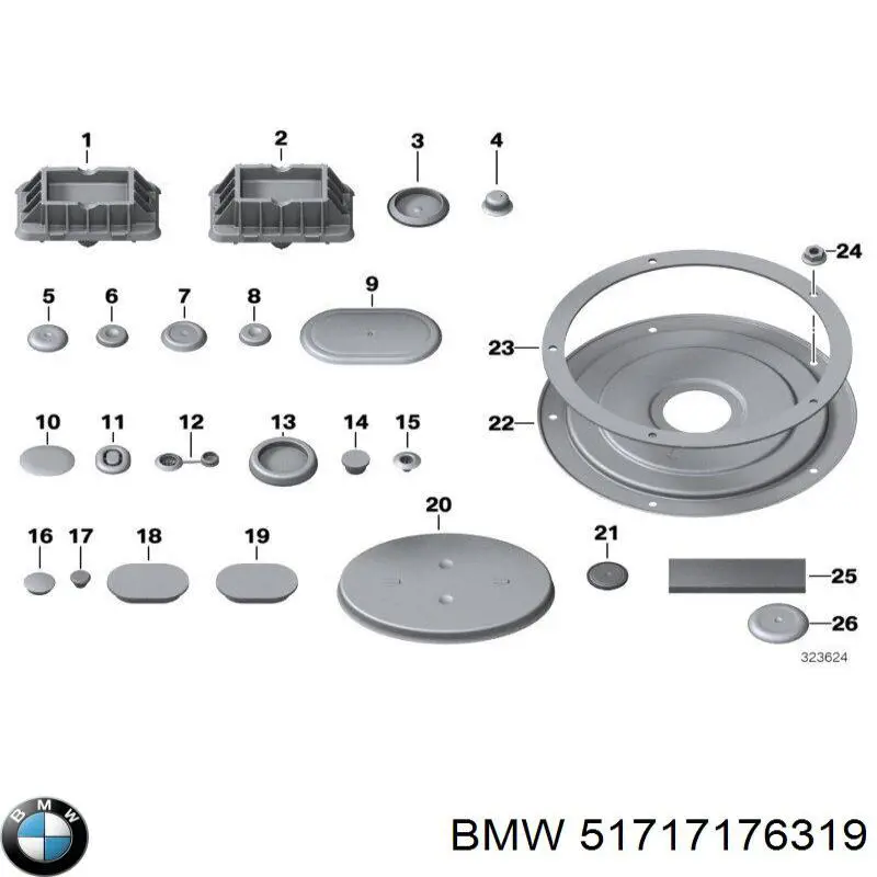51717176319 BMW 
