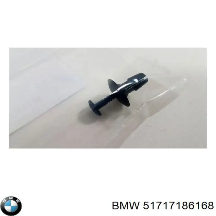 51717186168 BMW Pára-brisas