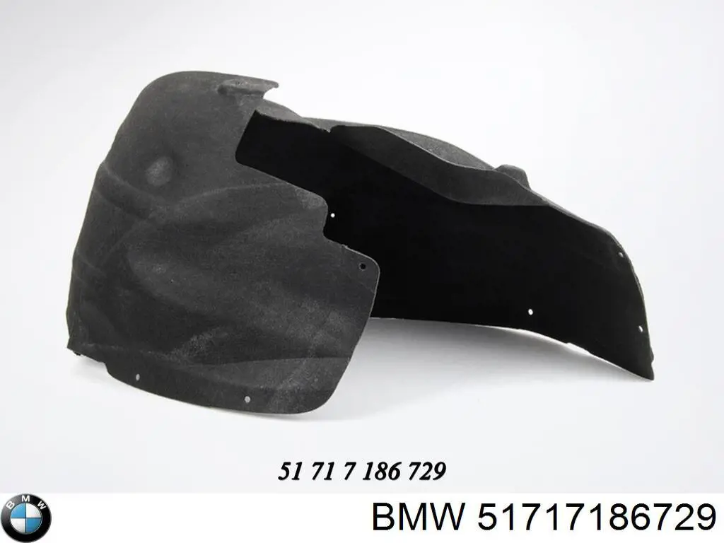 51717186729 BMW Guarda-barras do pára-lama traseiro esquerdo