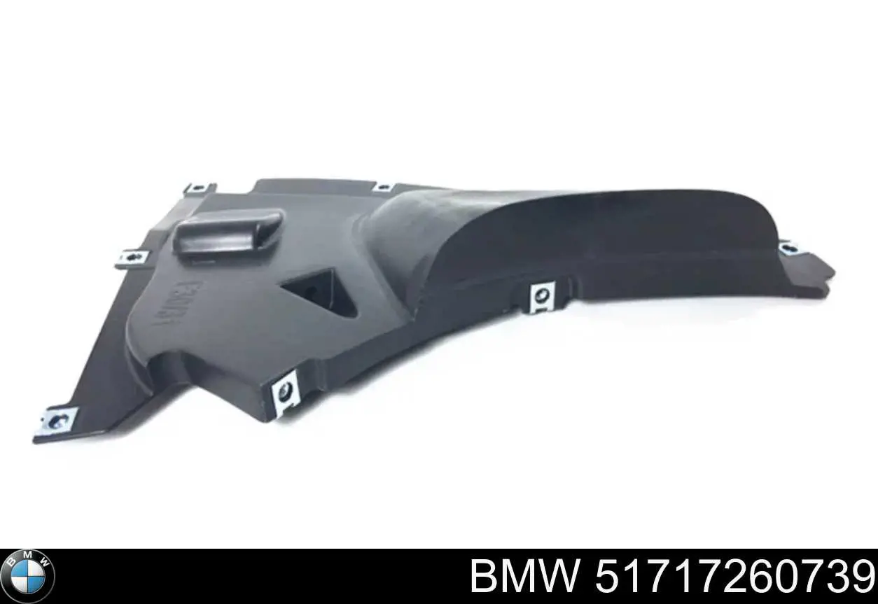 51717260739 BMW Escudo protetor contra o barro de arco dianteiro do pára-lama