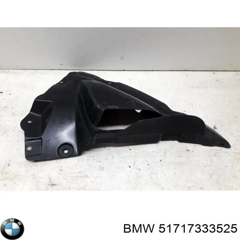 51717333525 BMW Proteção de motor esquerdo