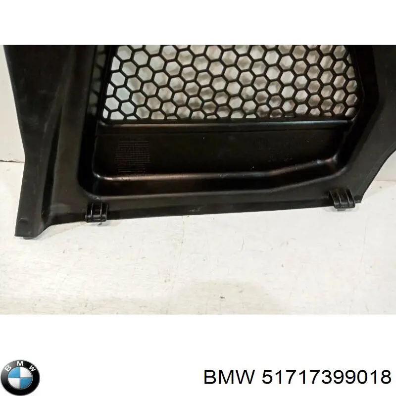 51717399018 BMW Tampão lateral de bofes
