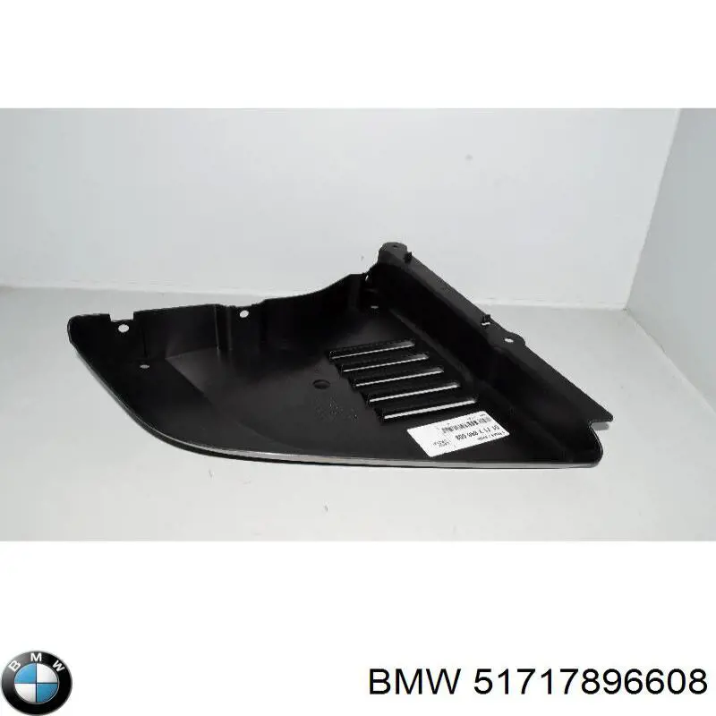 51717896608 BMW Escudo protetor contra o barro de arco dianteiro do pára-lama