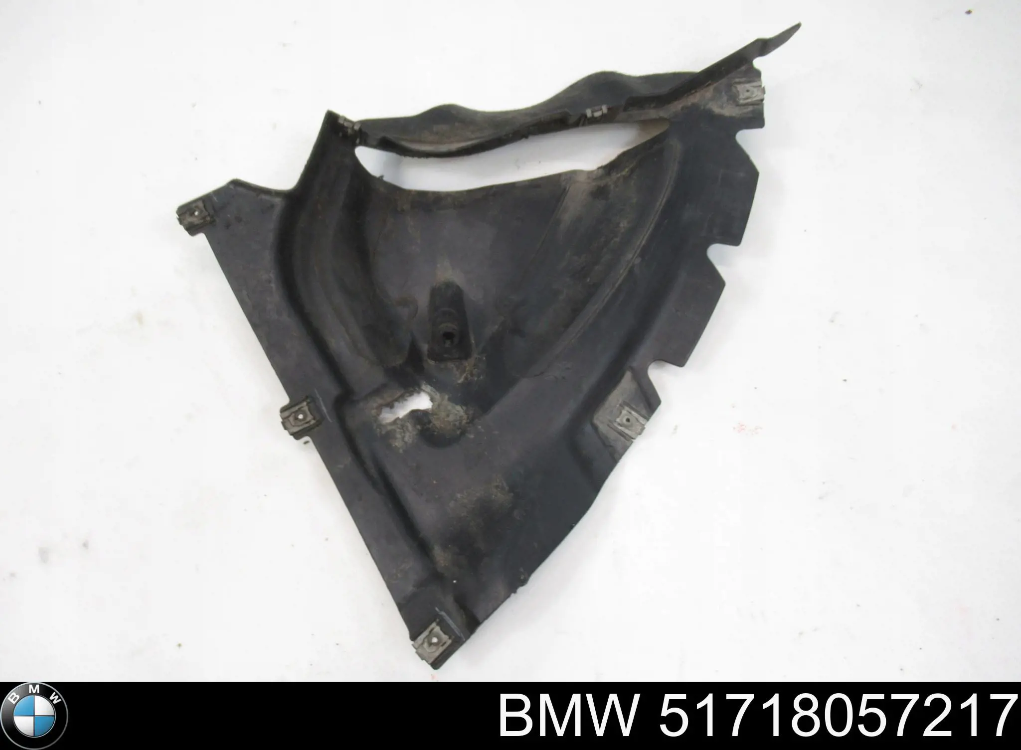 51718057217 BMW Proteção do freio de disco dianteiro esquerdo