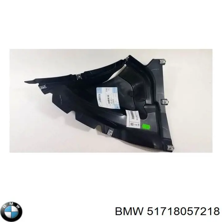 51718057218 BMW Escudo protetor contra o barro de arco dianteiro do pára-lama