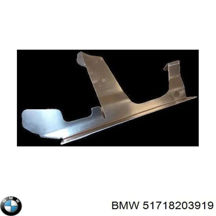 Compre 51718203919 BMW 