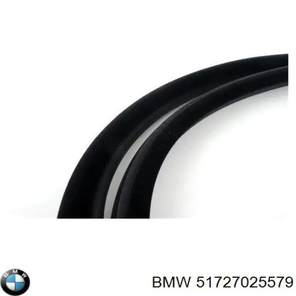 Compre 51727025579 BMW Compactador da porta dianteira (na carroçaria)