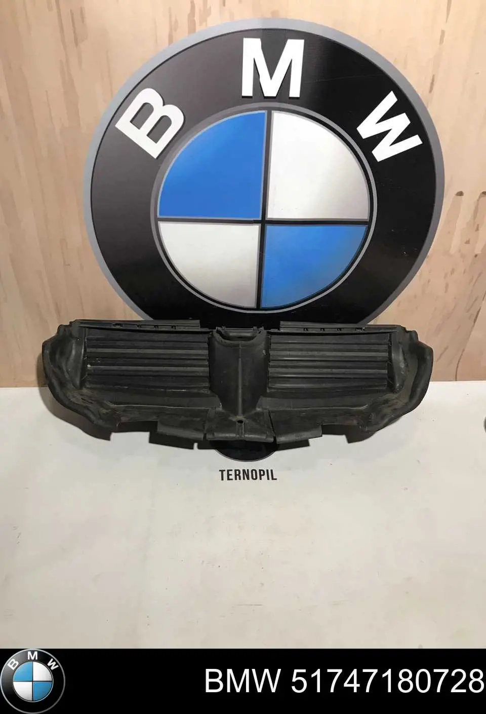 51747180728 BMW Perciana do radiador de esfriamento