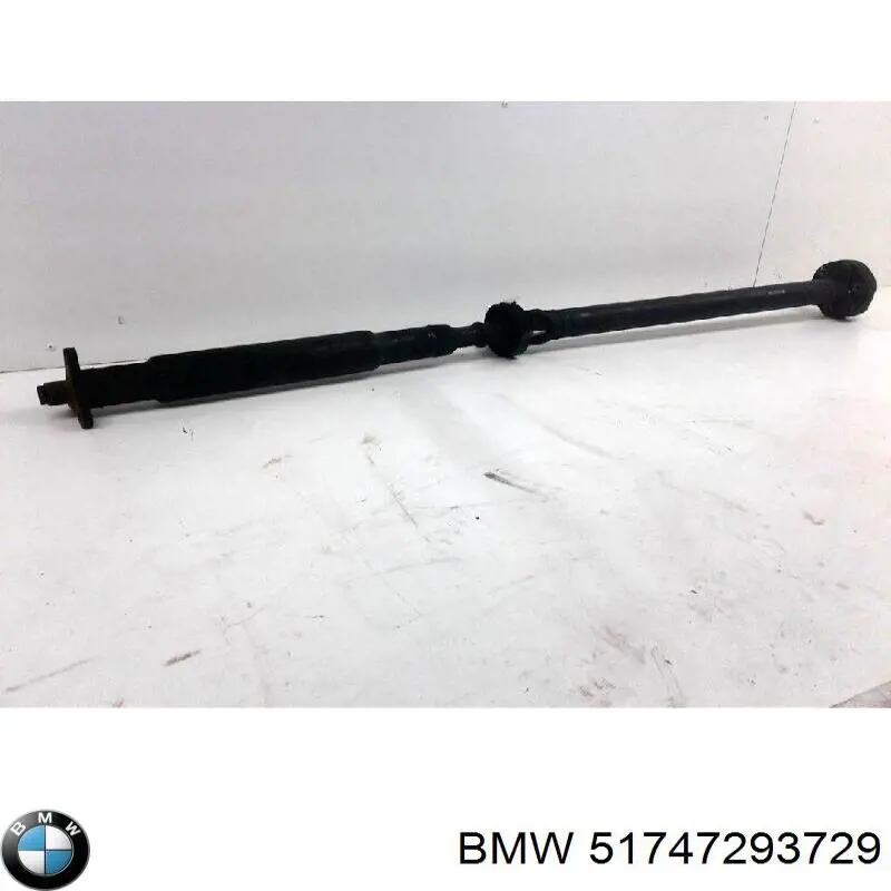 Compre 51747293729 BMW 