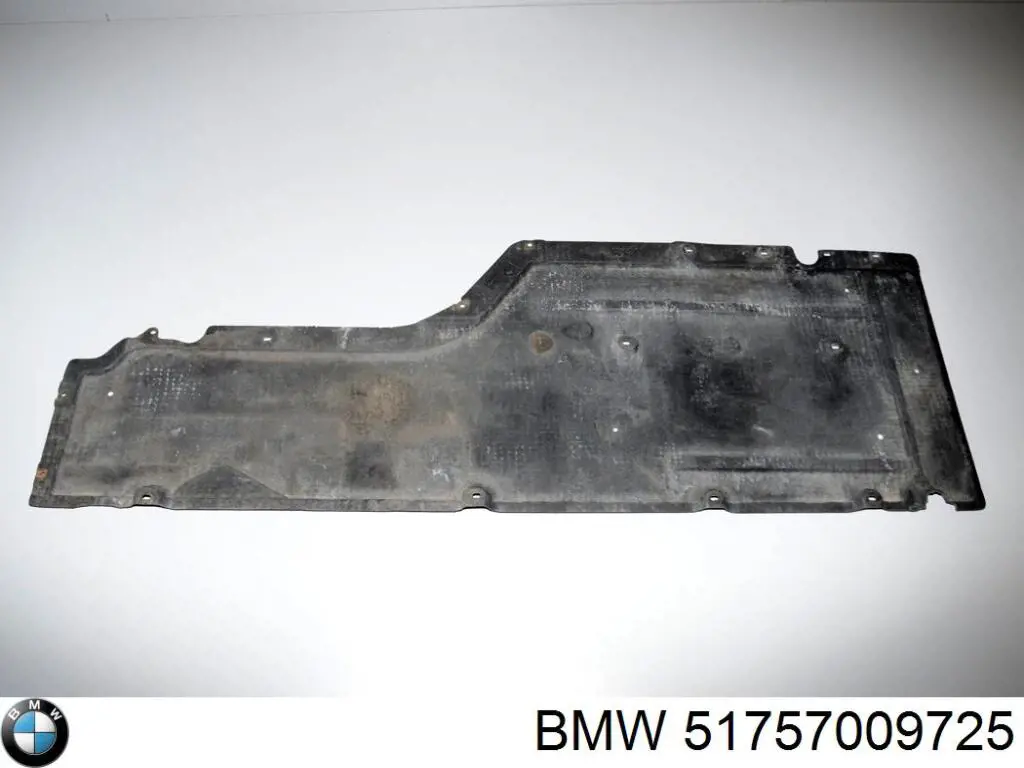 51757009725 BMW Proteção de fundo esquerda