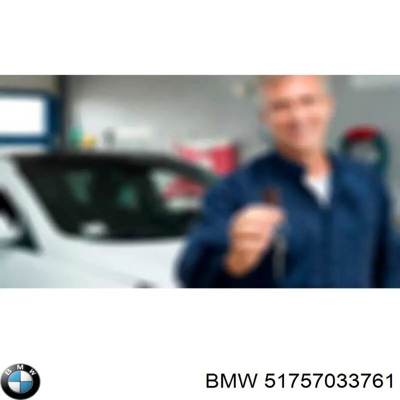 Compre 51757033761 BMW Proteção de motor, de panela (da seção de motor)