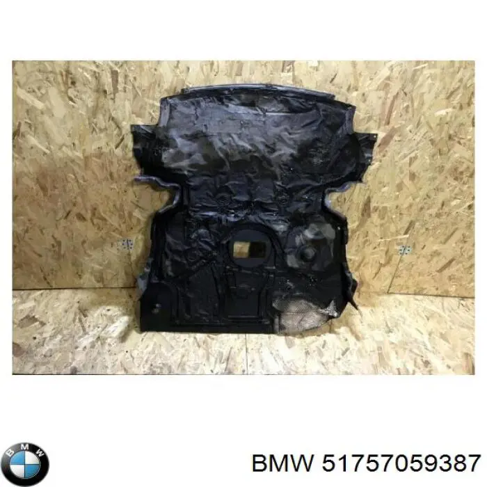 51757059387 BMW Proteção de motor dianteira