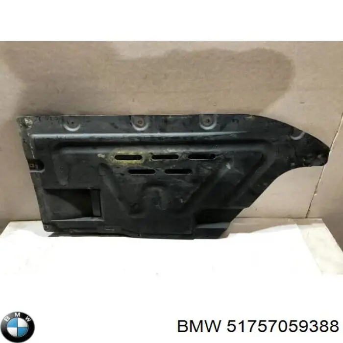 Compre 51757059388 BMW Proteção de fundo, parte média