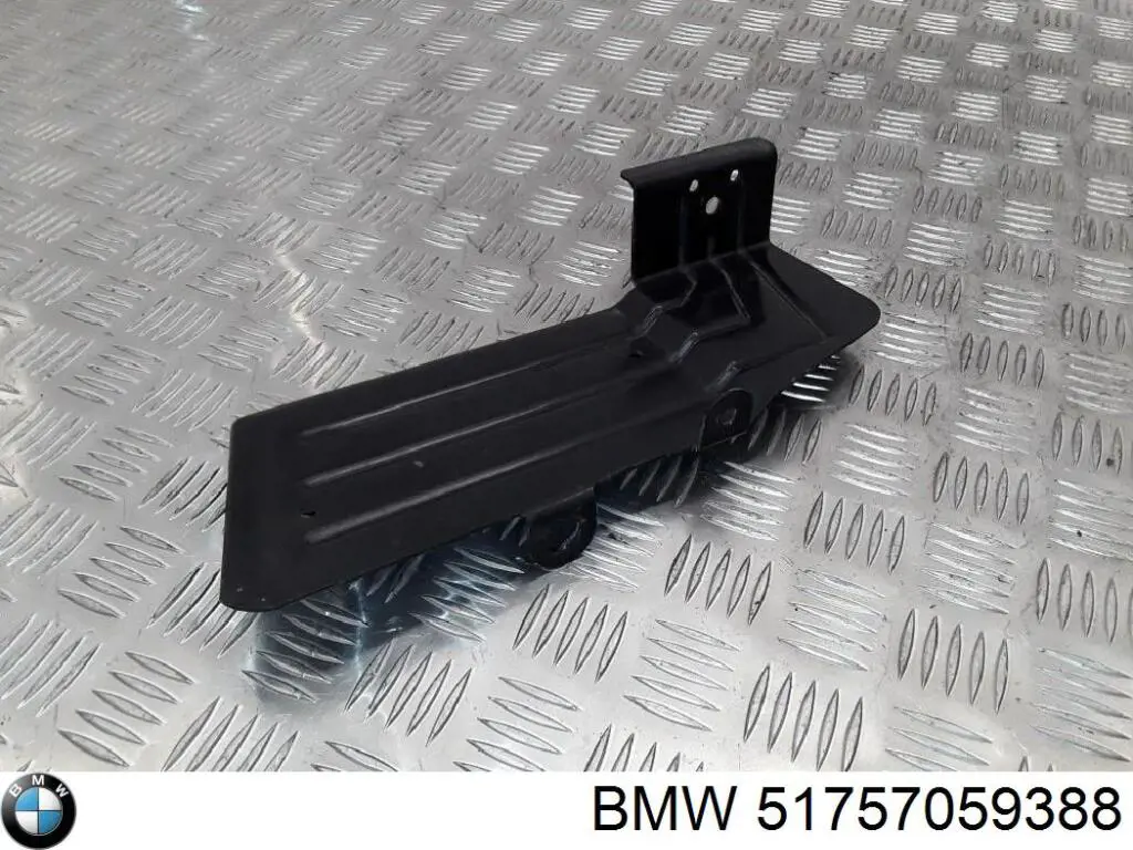 51757059388 BMW Proteção de fundo, parte média