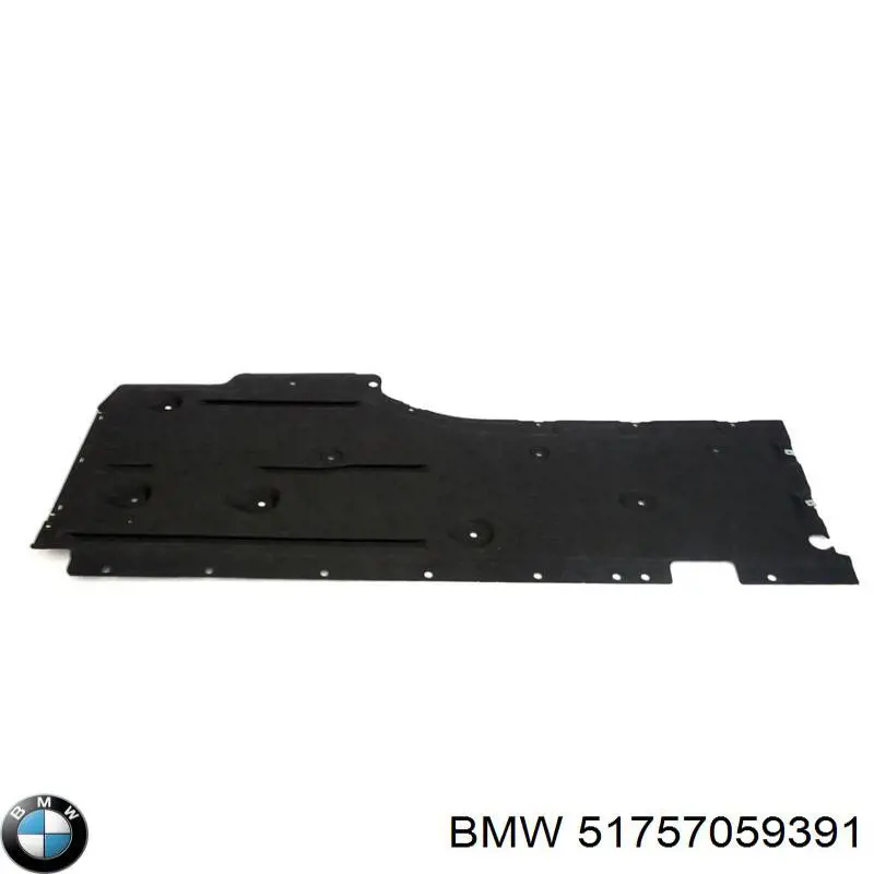 51757059391 BMW Proteção de fundo esquerda