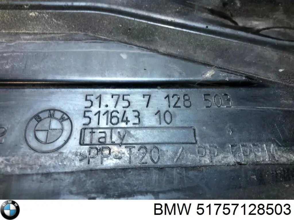 51757128503 BMW Proteção de motor dianteira