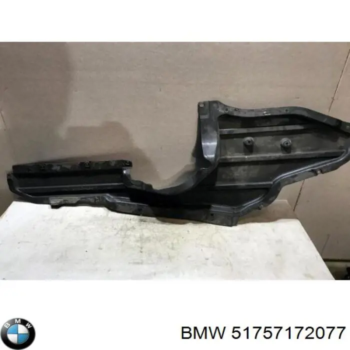 51757172077 BMW Moldura de vidro traseiro