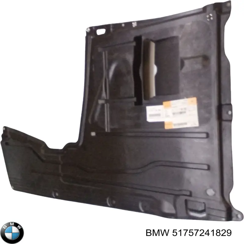 Compre 51757241829 BMW Proteção de fundo esquerda