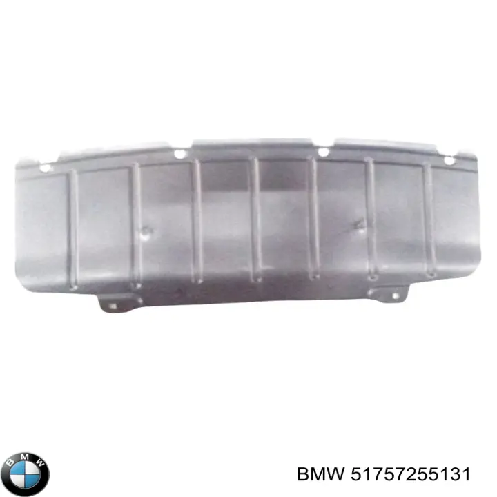 Compre 51757255131 BMW Proteção de motor, de panela (da seção de motor)