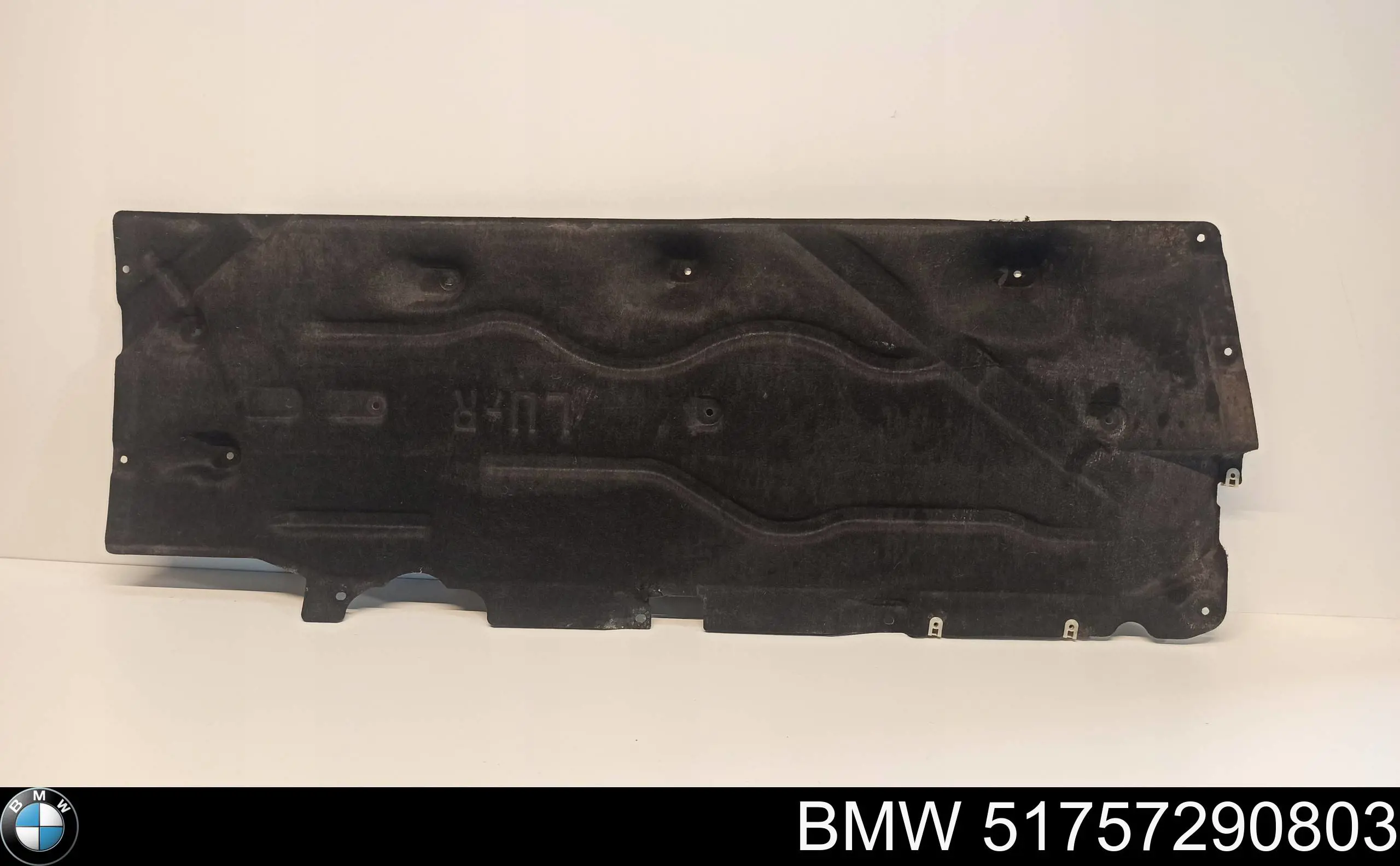 51757290803 BMW Proteção de fundo esquerda