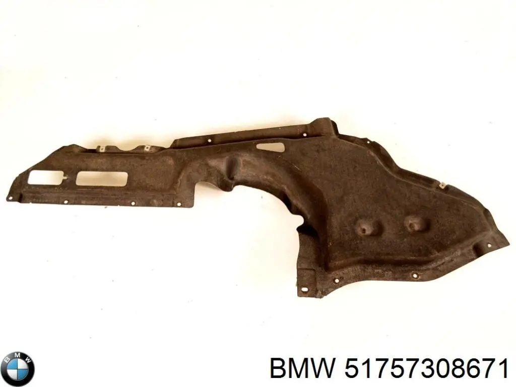 Compre 51757308671 BMW Proteção de fundo esquerda