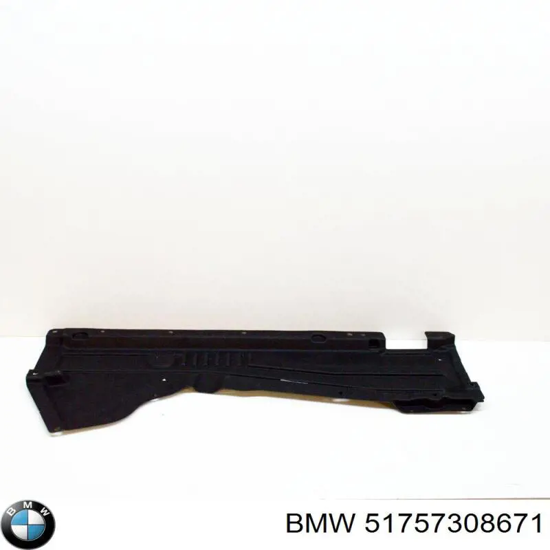 51757308671 BMW Proteção de fundo esquerda