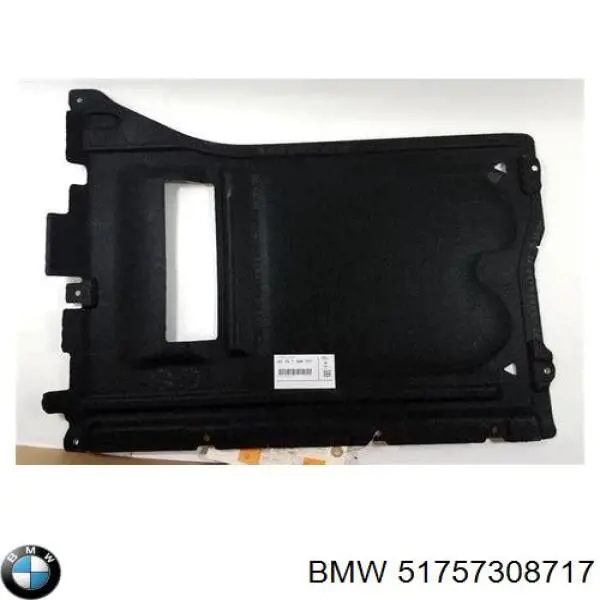 51757308717 BMW Proteção de fundo, parte média