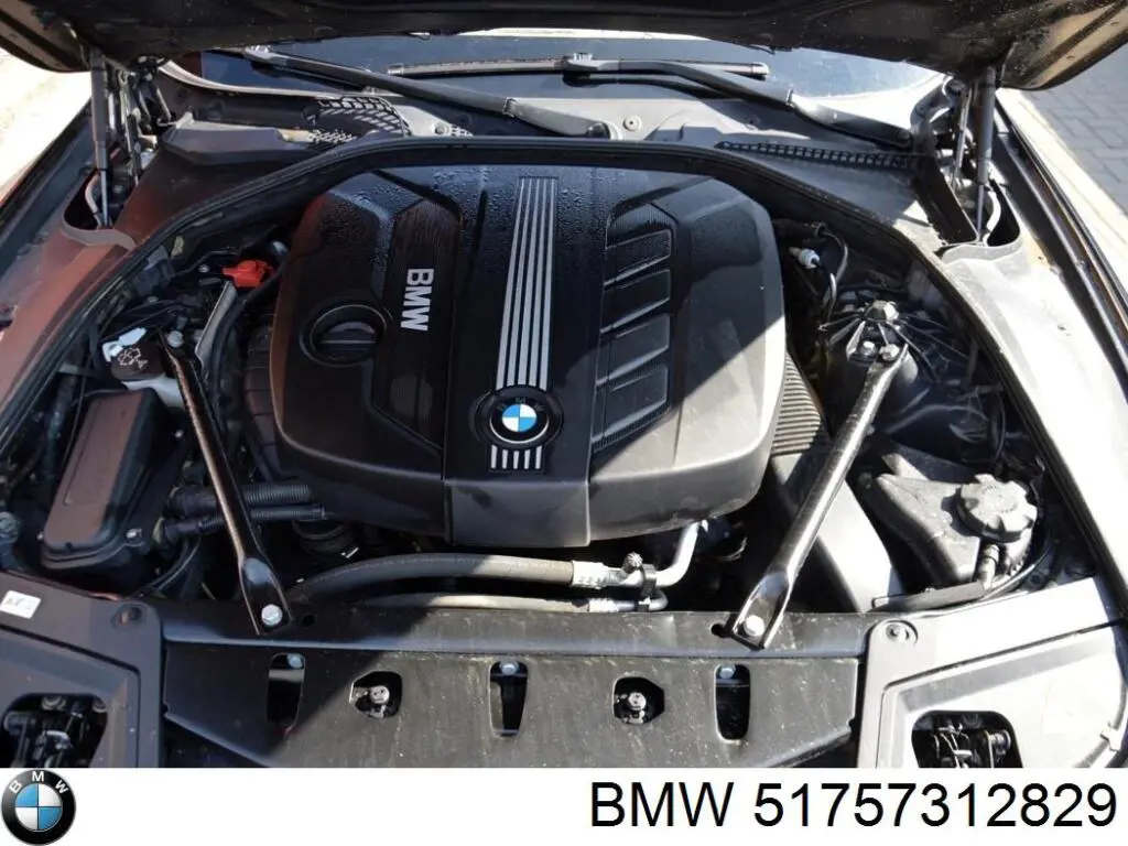 Compre 51757312829 BMW Guarda-barras esquerdo dianteiro do pára-lama dianteiro