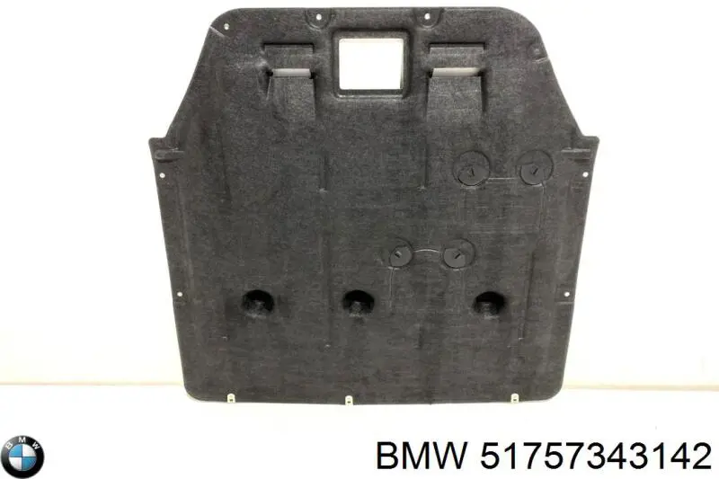51757343142 BMW Proteção de motor, de panela (da seção de motor)