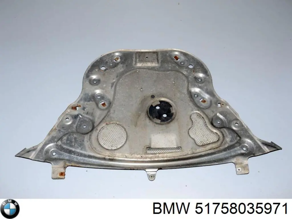 51758035971 BMW Proteção de motor traseiro