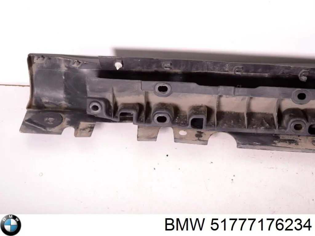 51777176234 BMW Placa sobreposta (moldura) externa direita de acesso