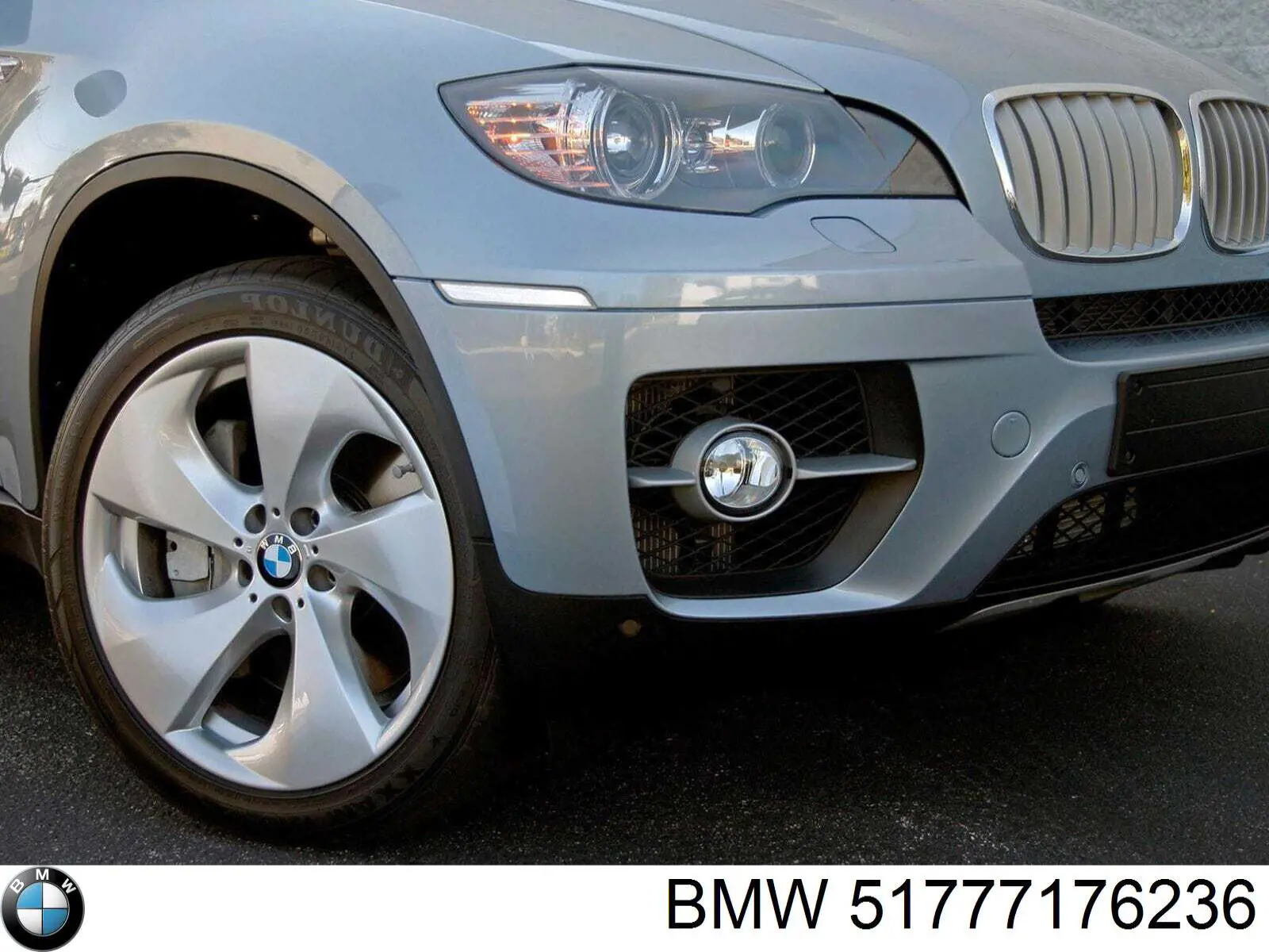 Compre 51777176236 BMW Expansor (placa sobreposta) de arco do pára-lama dianteiro direito